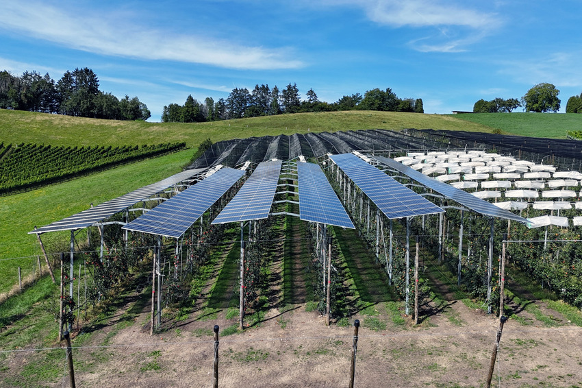 In einer landwirtschaftlichen Schweizer Landschaft stehen drei dachartige Doppelreihen Photovoltaikmodule auf einer Niederstamm-Apfelplantage. Das Wetter ist sehr sonnig. Das Bild ist aus einer leicht erhöhten Perspektive aufgenommen. Die Anlage wirkt sehr ästhetisch.