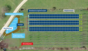 Eine Grafik zeigt die Agri-Photovoltaikanlage schematisch von oben. Die drei Reihen Panels haben Regenrinnen, welche Wasser zu einem Rückhaltebecken führen, von wo aus es bei Bedarf zurückgeführt werden kann. Es ist angeschrieben, dass der Strom der Anlage zum FiBL geführt wird.